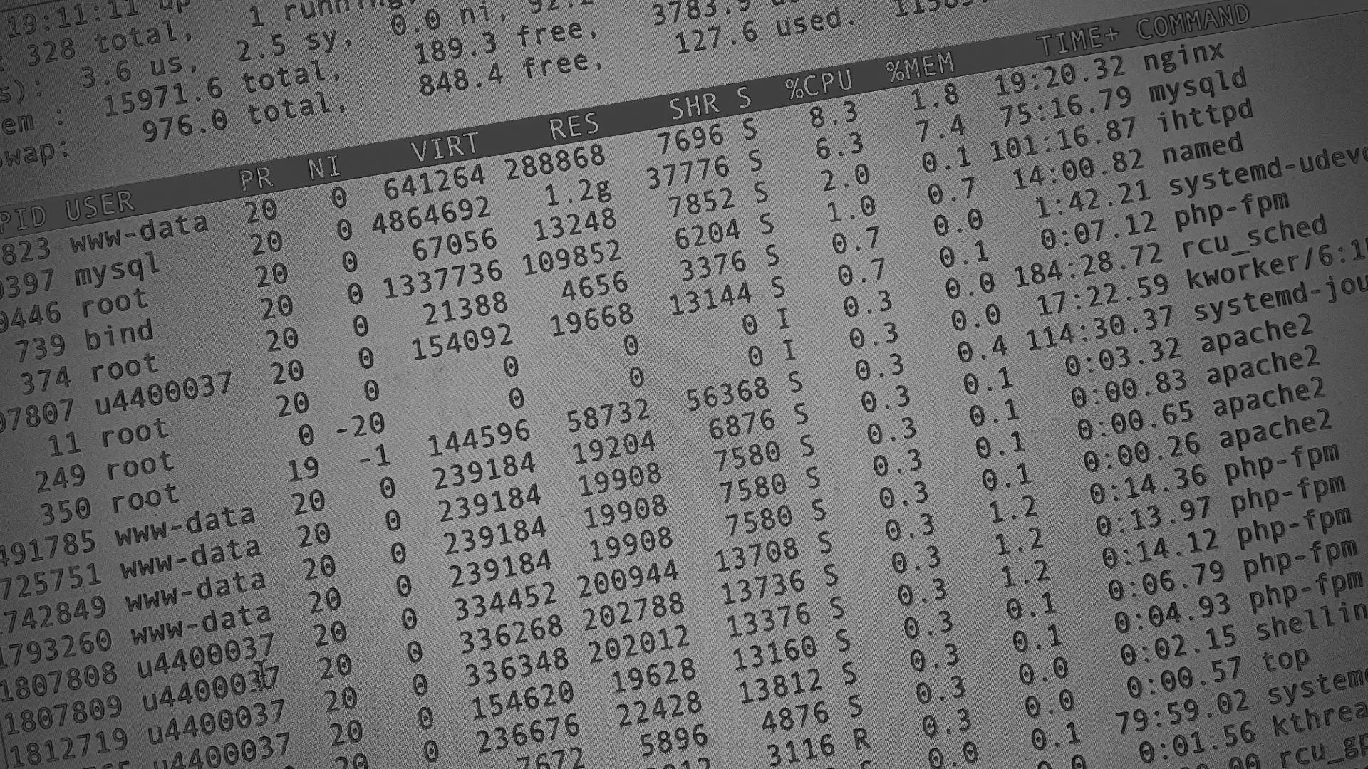 Настройка сервера в Сусумане