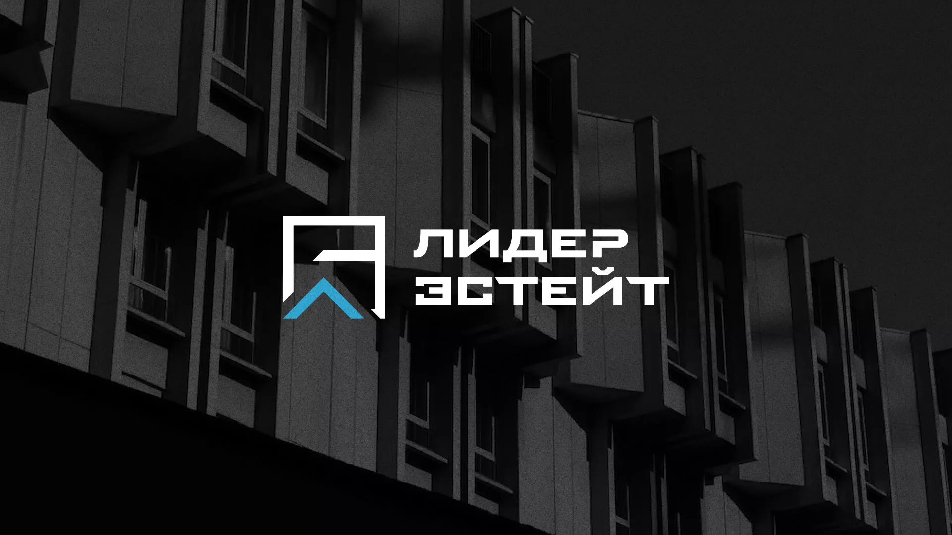 Разработка логотипа агентства недвижимости «Лидер Эстейт» в Сусумане
